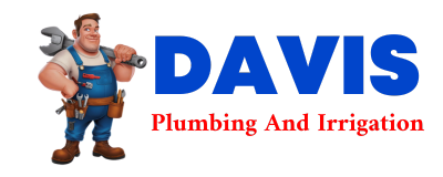 Trusted plumber in THERESA